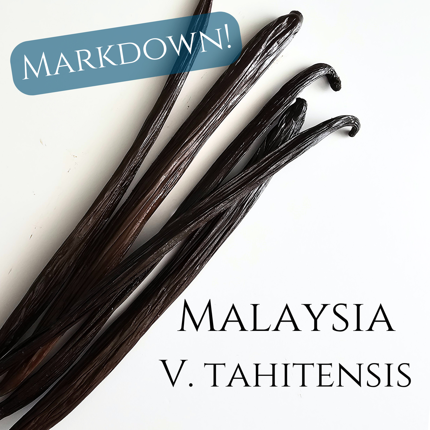 Malaysia V. tahitensis Vanilla Beans