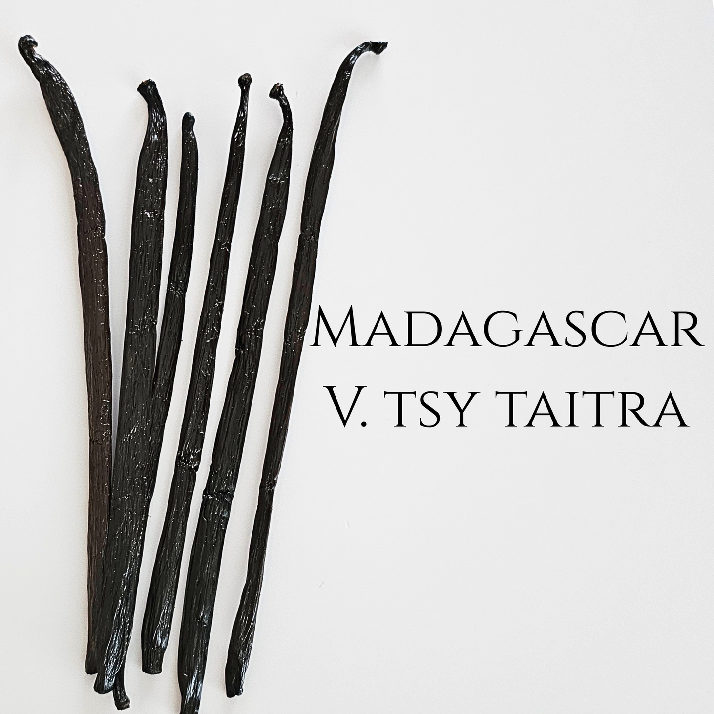 Madagascar V. tsy taitra