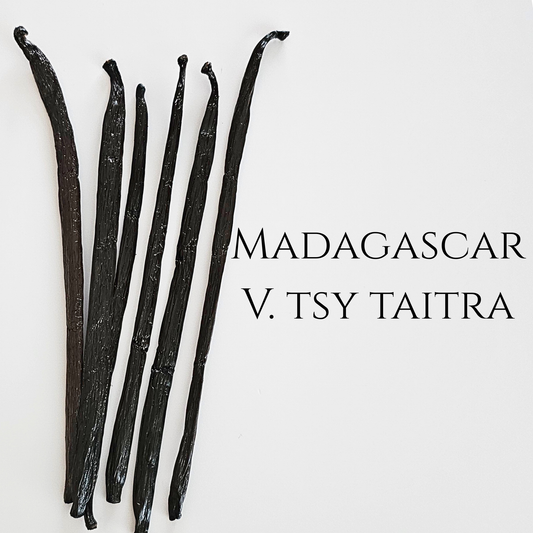 Madagascar V. tsy taitra
