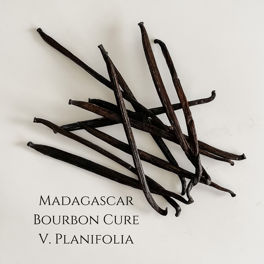 Madagascar Bourbon Cure V. planifolia Vanilla Beans