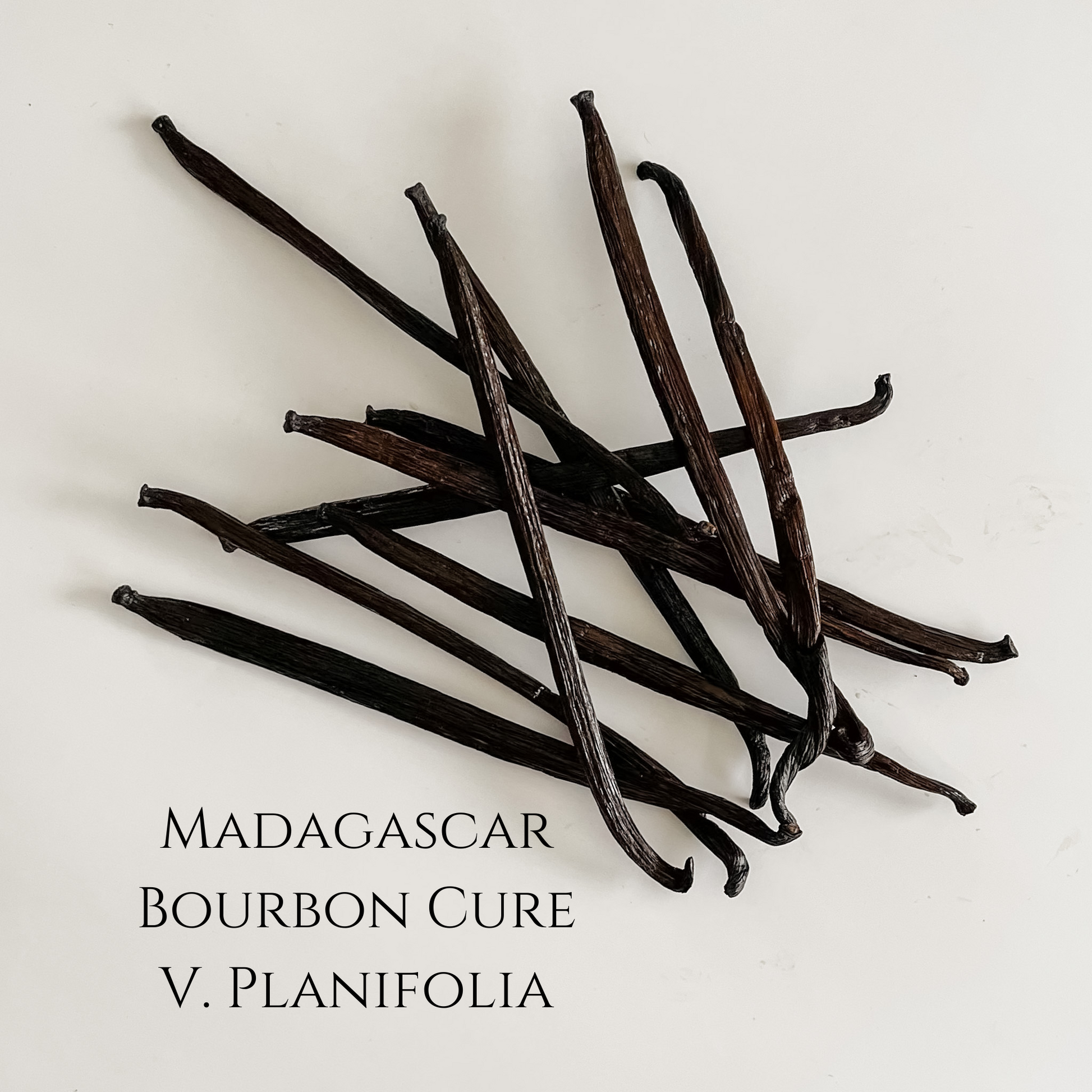 Vanille de Madagascar Bourbon grade 1 Bio