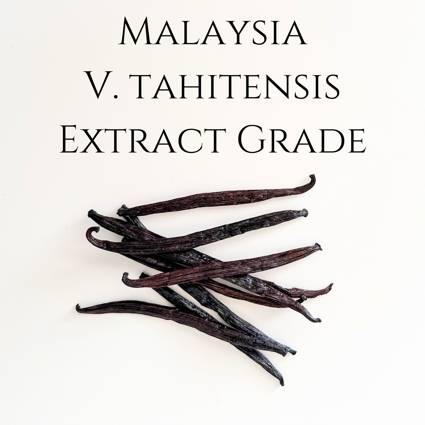 Malaysia V. Tahitensis Extract Grade Vanilla Beans