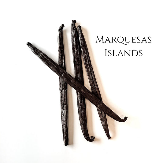 Marquesas Islands V. tahitensis Vanilla Beans
