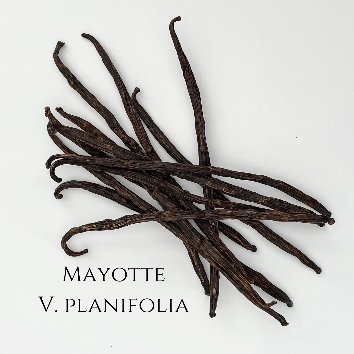Mayotte V. planifolia Vanilla Beans