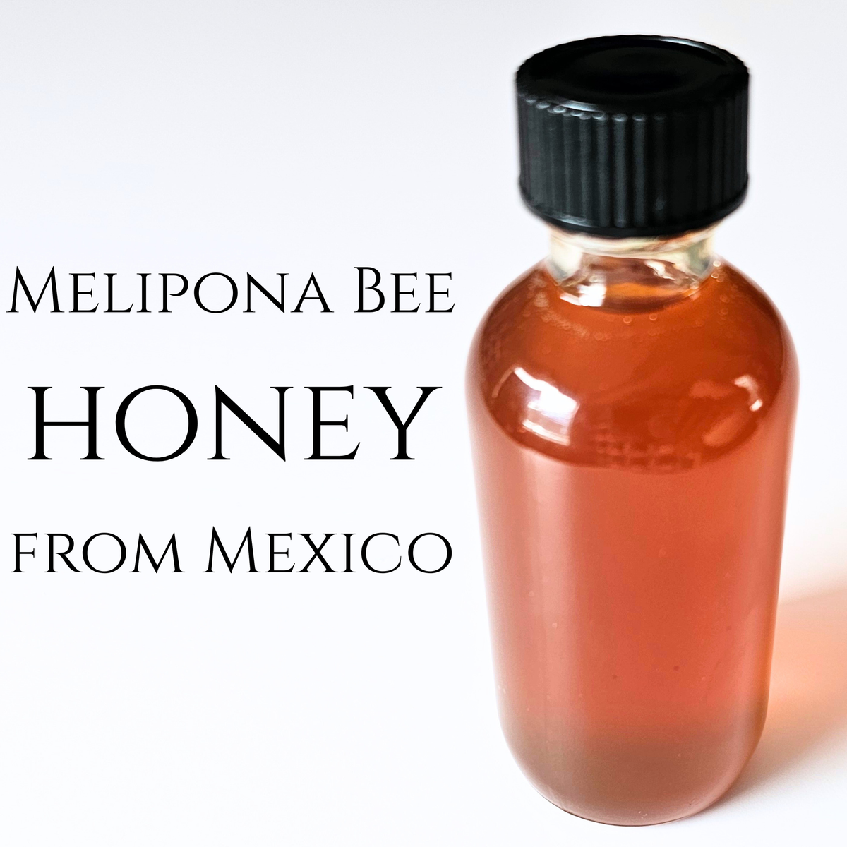 Melipona Bee Honey from Mexico