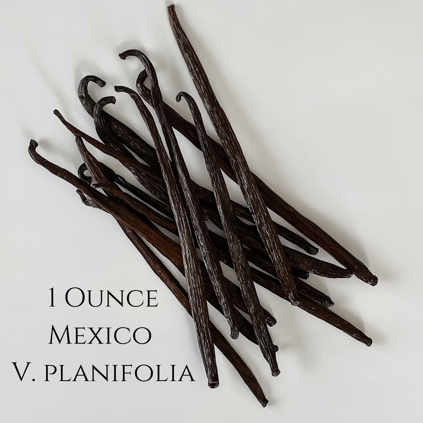 Mexico V. planifolia Vanilla Beans