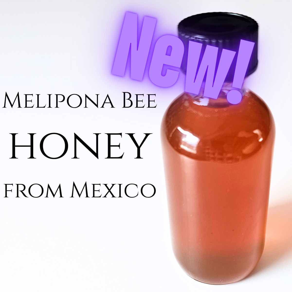 Melipona Bee Honey from Mexico