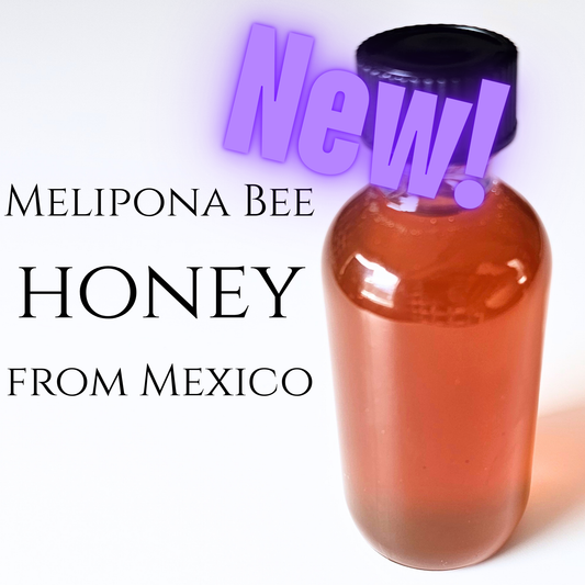 Melipona Bee Honey from Mexico