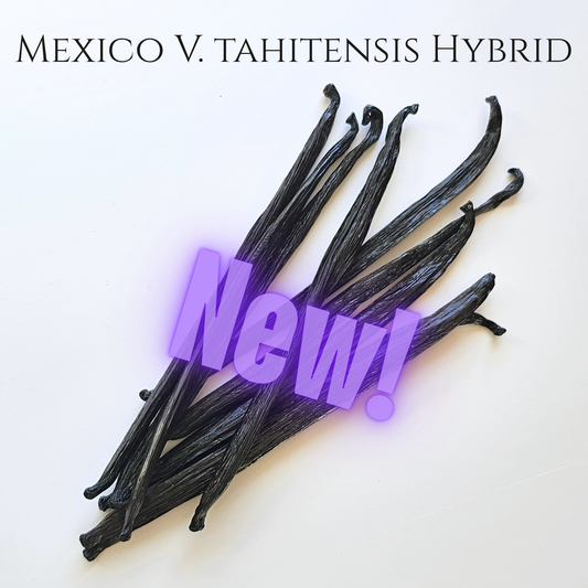 Mexico V. tahitensis Hybrid Vanilla Beans