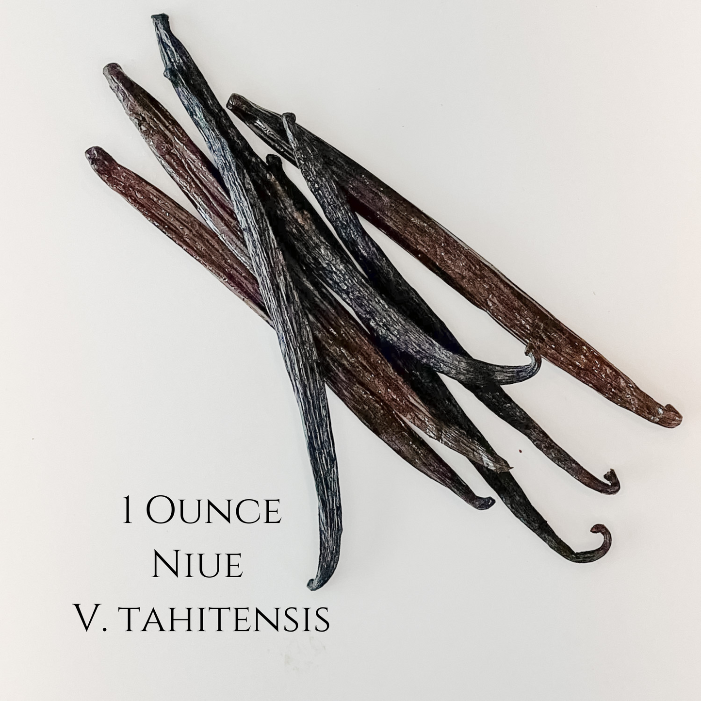 Niue V. tahitensis Vanilla Beans