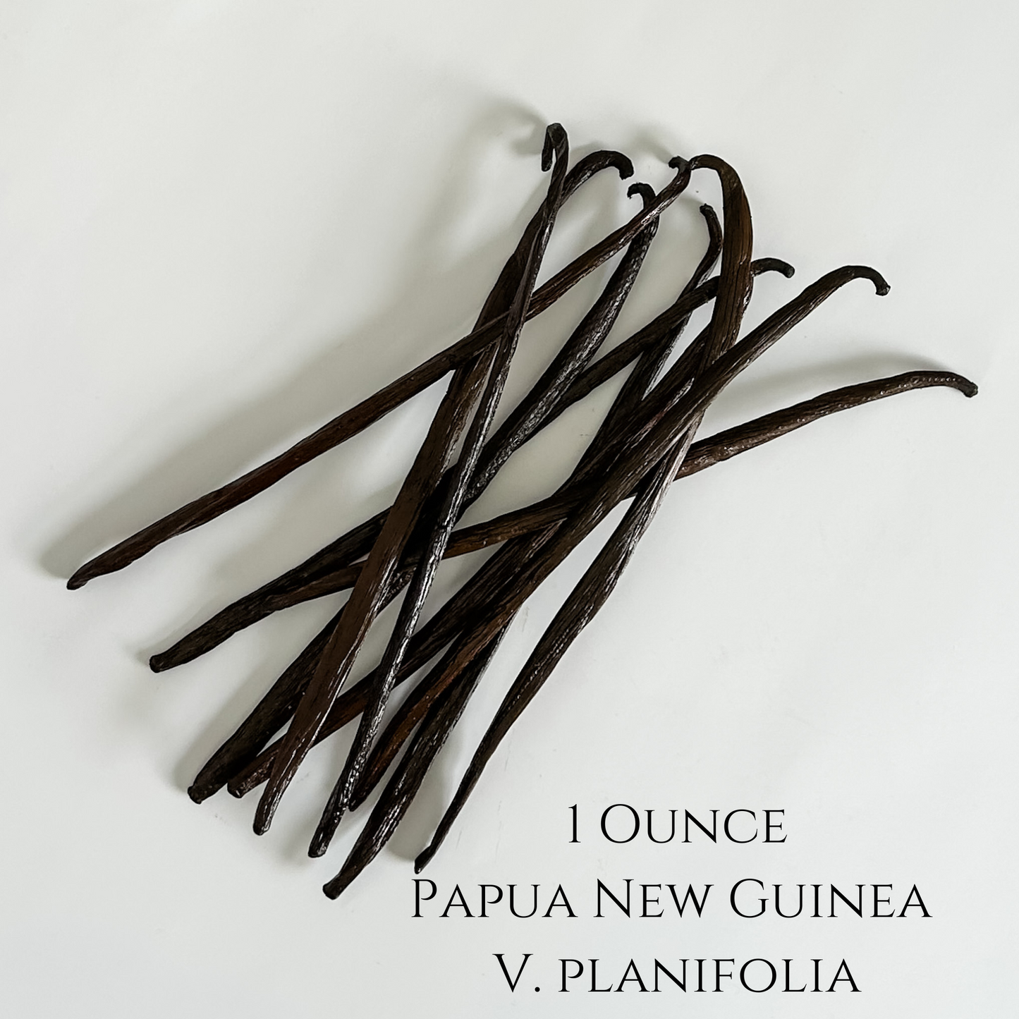 Papua New Guinea V. planifolia Vanilla Beans