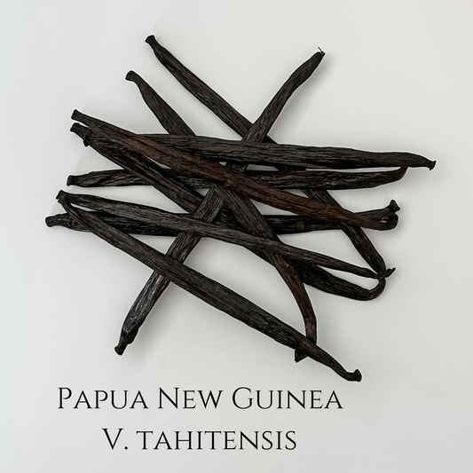 Papua New Guinea V. tahitensis Vanilla Beans
