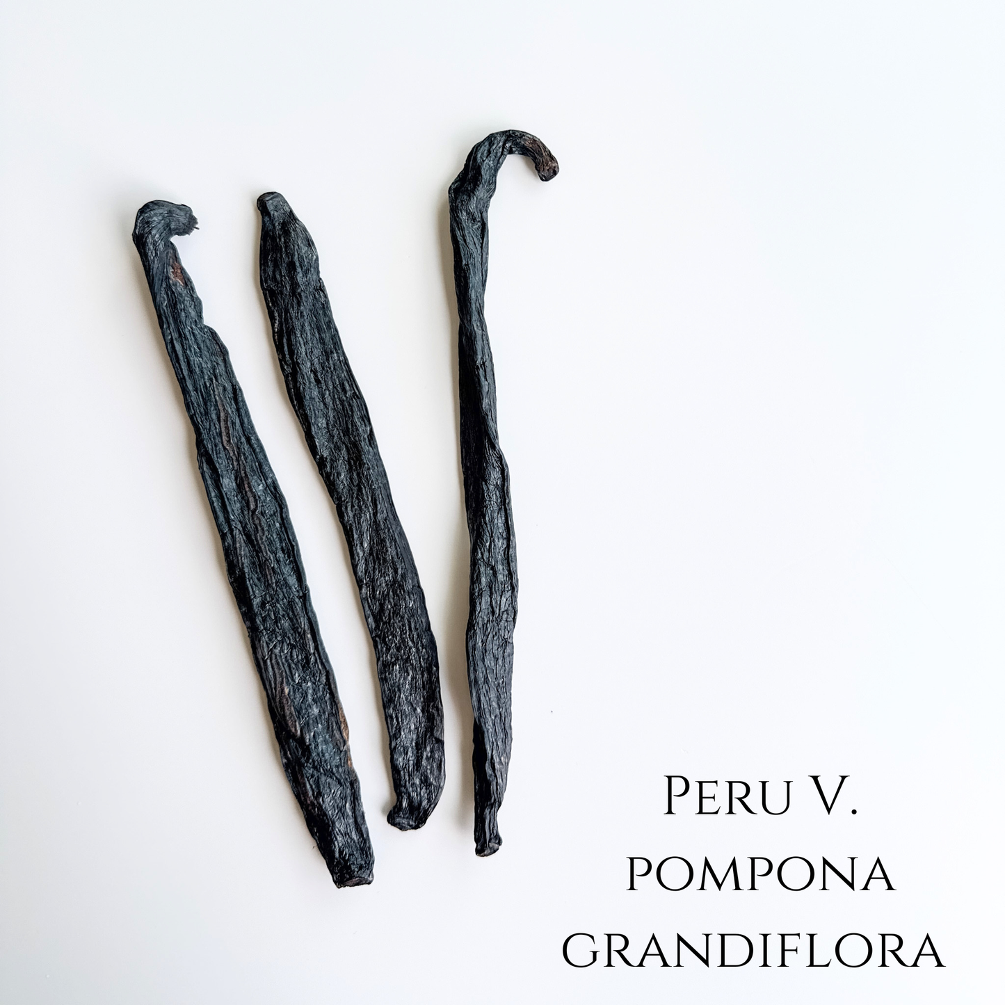 Perú V. Pompona Grandiflora Vanilla Beans