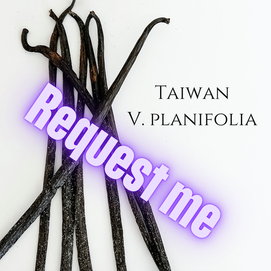 Taiwan V. planifolia Vanilla Beans