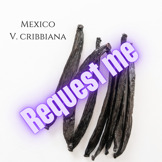 Mexico V. cribbiana Vanilla Beans