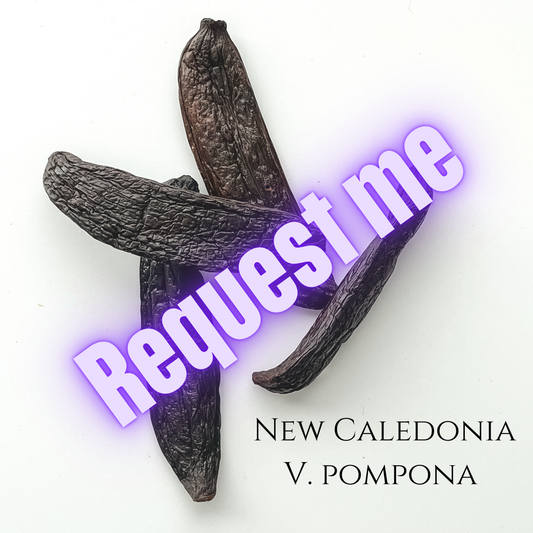 New Caledonia V. pompona