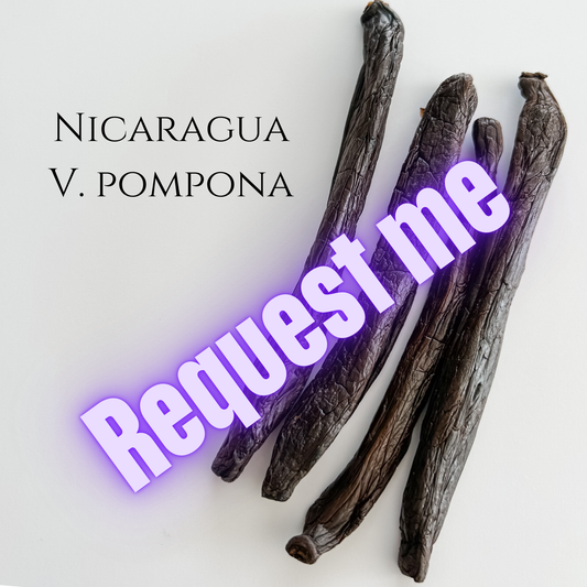Nicaragua V. pompona Vanilla Beans