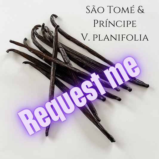 São Tomé & Príncipe V. planifolia Vanilla Beans