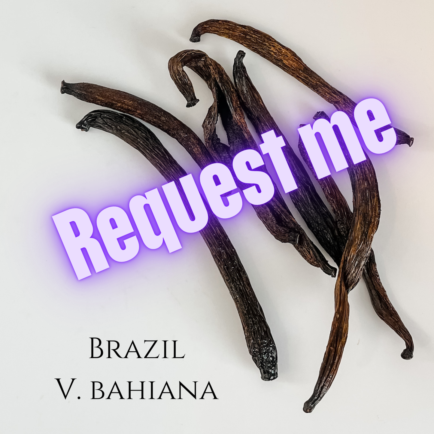 Brazil V. bahiana Vanilla Beans