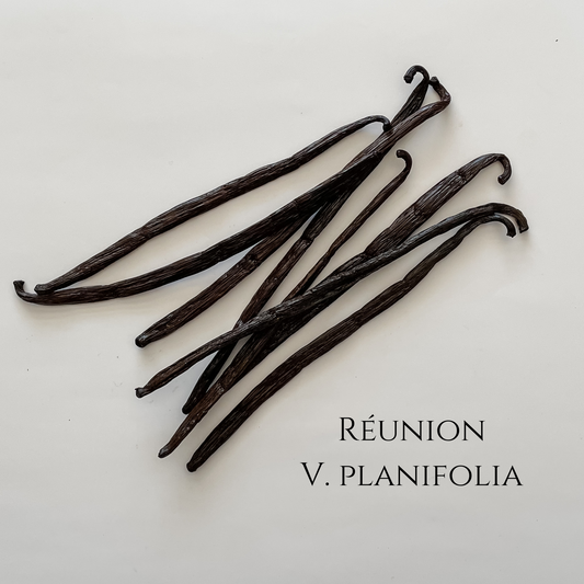Réunion V. planifolia Vanilla Beans