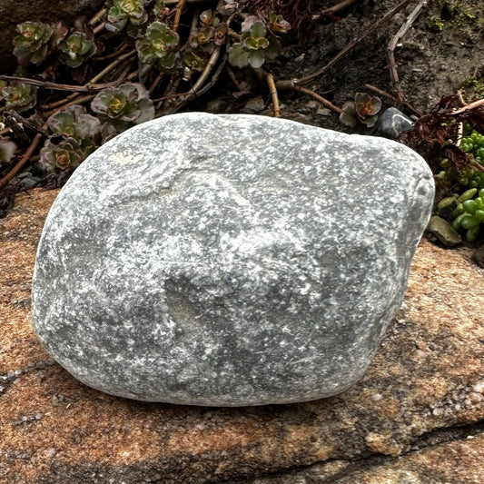 Vanilla Bean Guard Rock - Wade