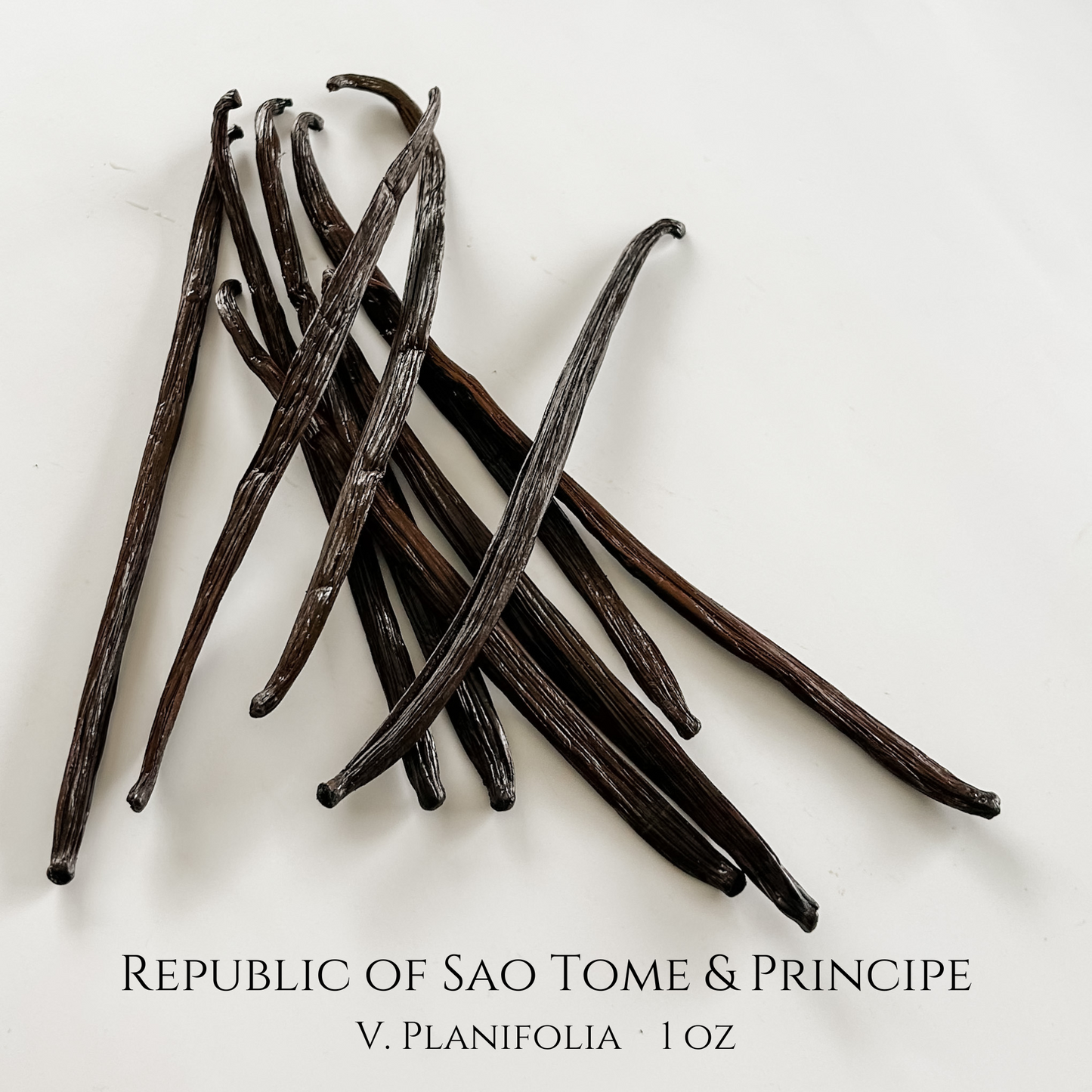 São Tomé & Príncipe V. planifolia Vanilla Beans