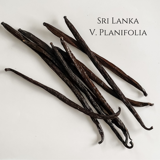 Sri Lanka V. Planifolia Vanilla Beans