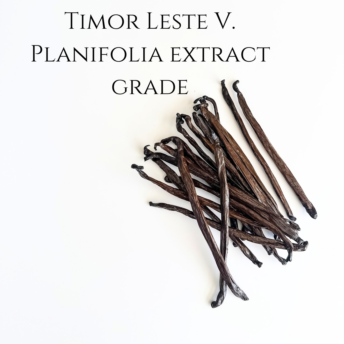 Timor-Leste V. planifolia  Extract Grade Vanilla Beans