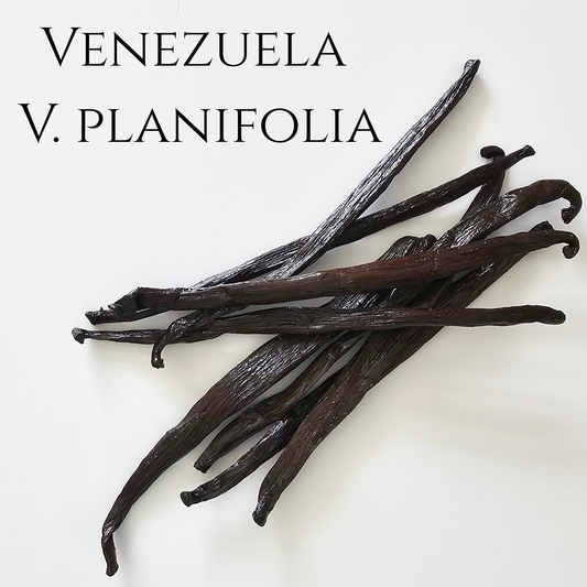 Venezuela V. planifolia Vanilla Beans