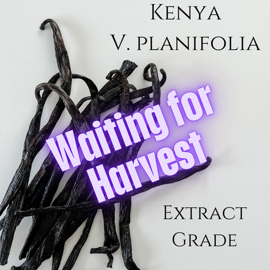 Kenya V. planifolia Vanilla Beans