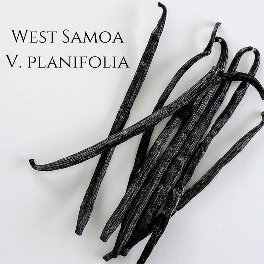 West Samoa V. planifolia Vanilla Beans