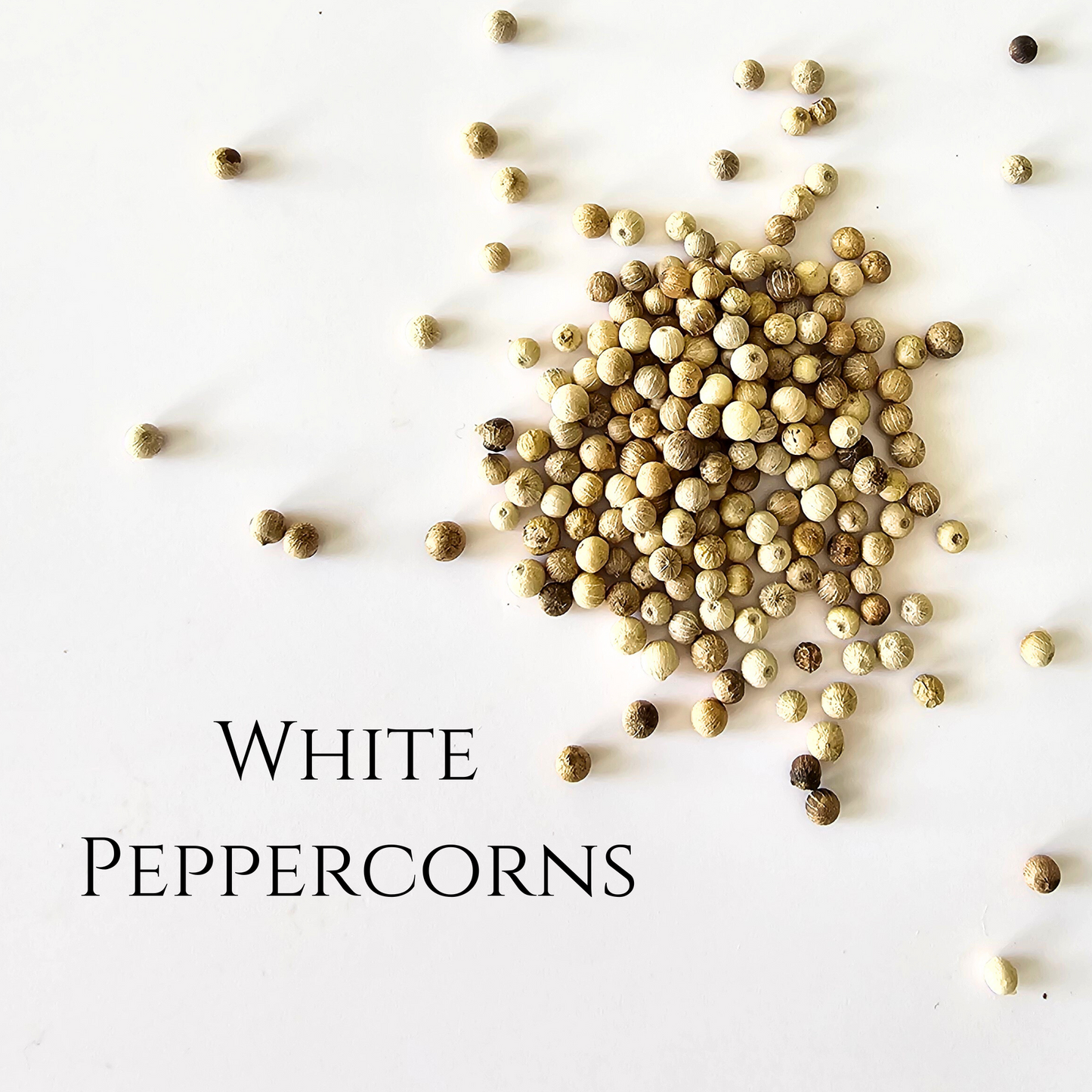 White Peppercorns