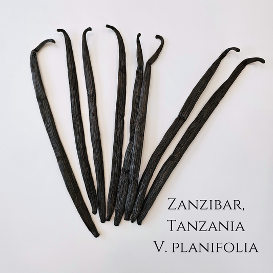 Zanzibar, Tanzania V. planifolia Vanilla Beans