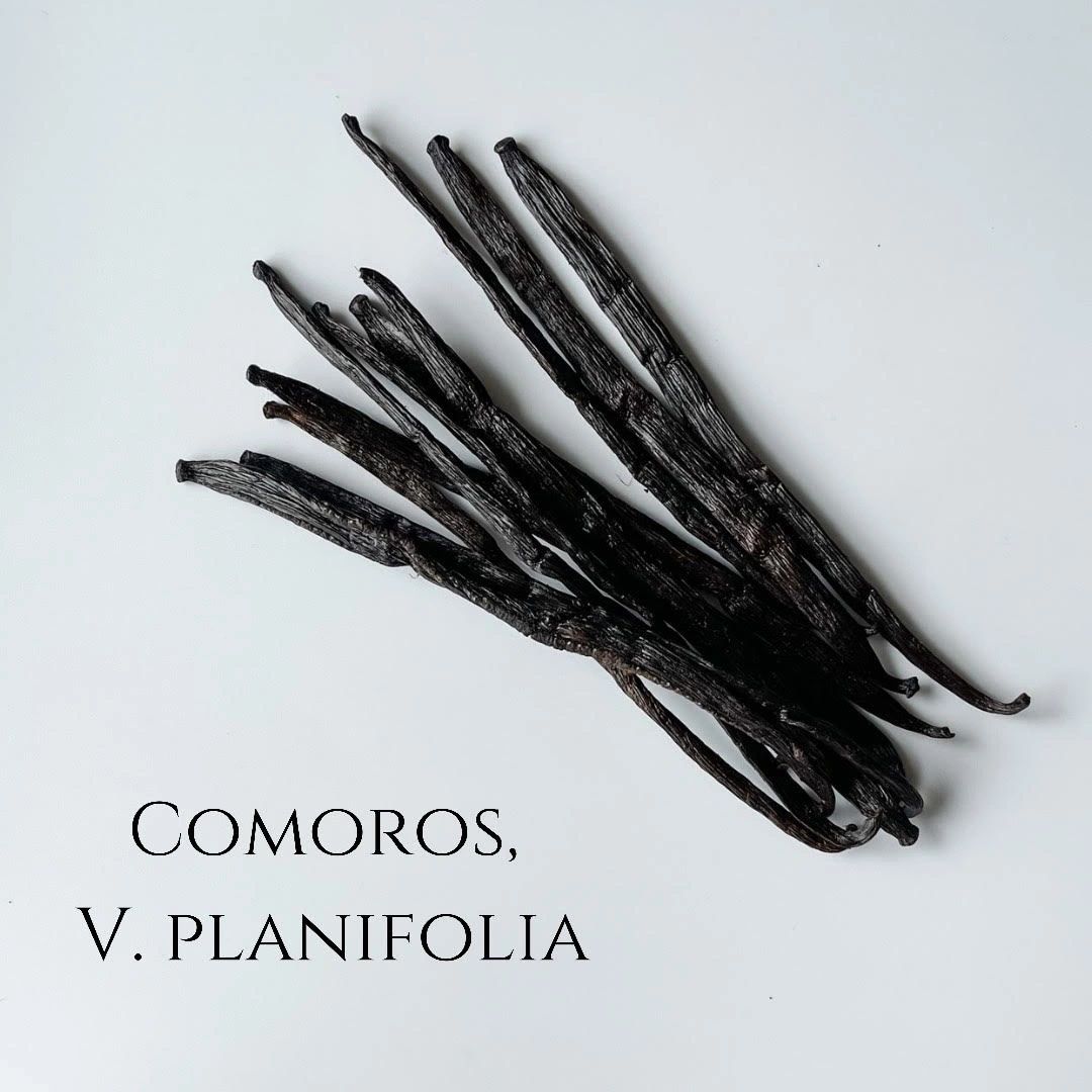 Comoros V. planifolia Vanilla Beans