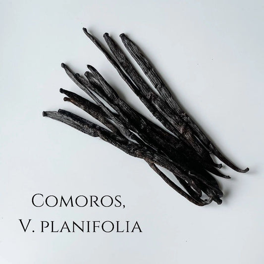 Comoros V. planifolia Vanilla Beans