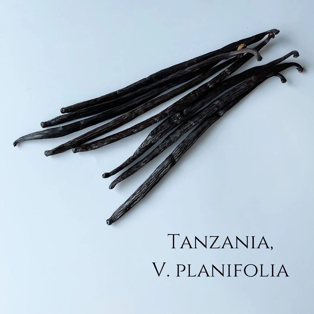 Tanzania V. planifolia Vanilla Beans