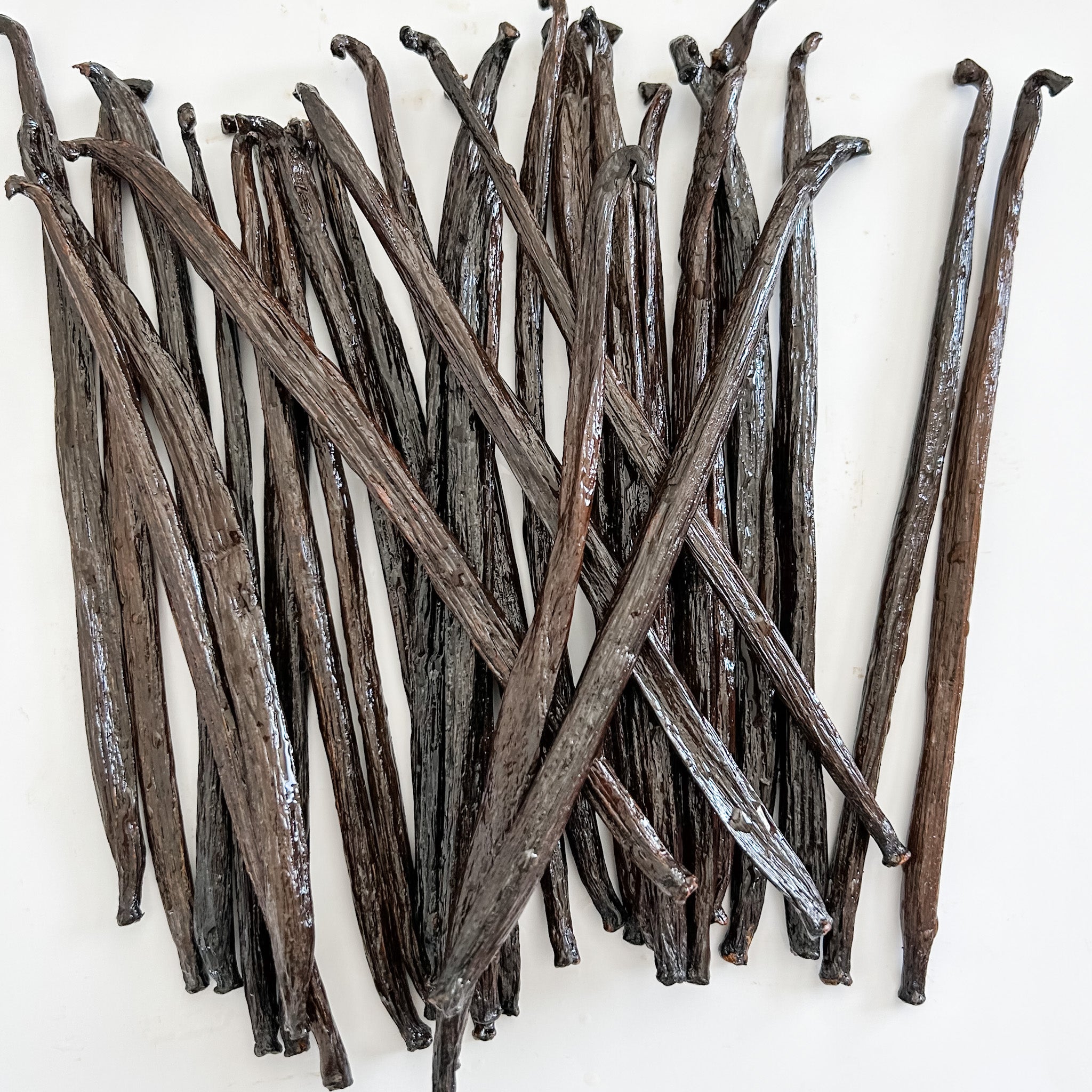 Madagascar Bourbon Cure V. planifolia Vanilla Beans IndriVanilla