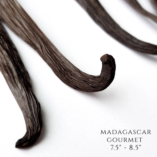 Madagascar Bourbon Cure V. planifolia Gourmet Vanilla Beans