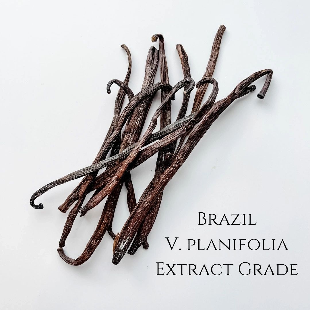 Brazil V. planifolia Extract Grade Vanilla Beans