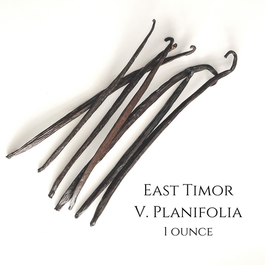 East Timor V. planifolia Vanilla Beans