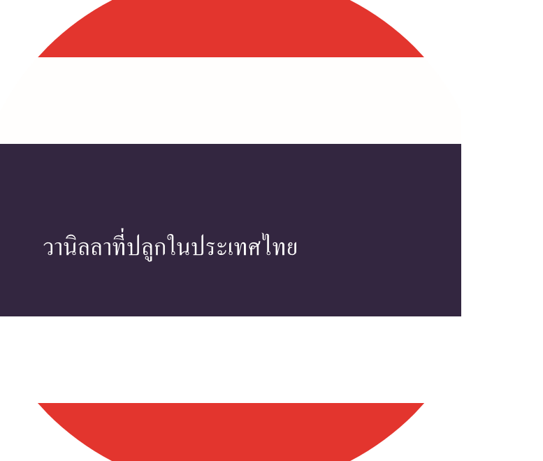 Stickers: Worldwide vanilla collection