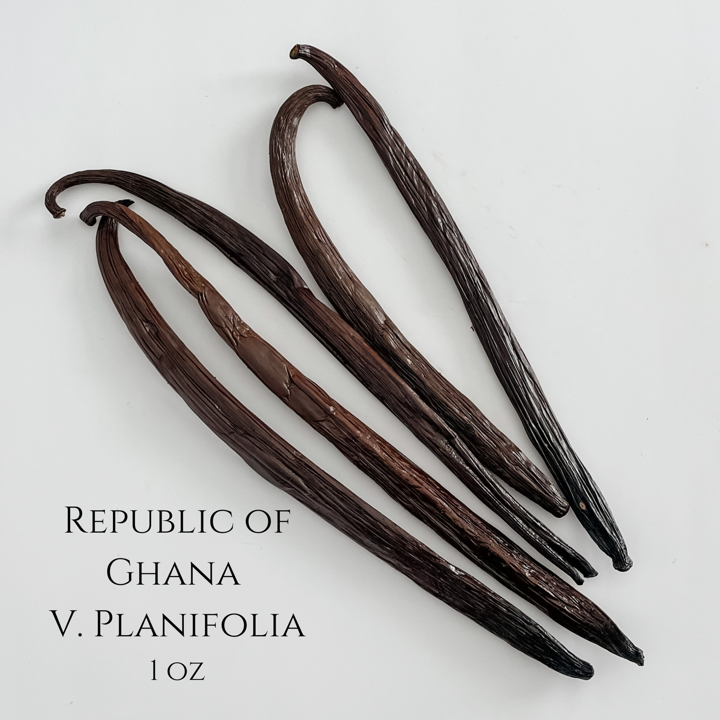 Republic of Ghana V. planifolia Vanilla Beans