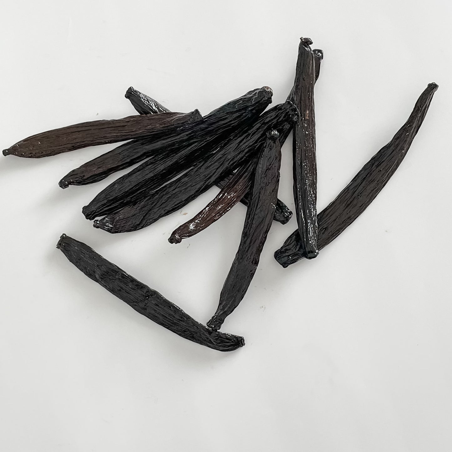 Guatemala V. cribbiana Vanilla Beans