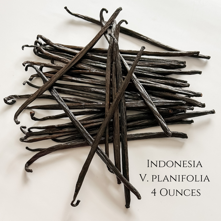 Indonesia V. planifolia Vanilla Beans IndriVanilla