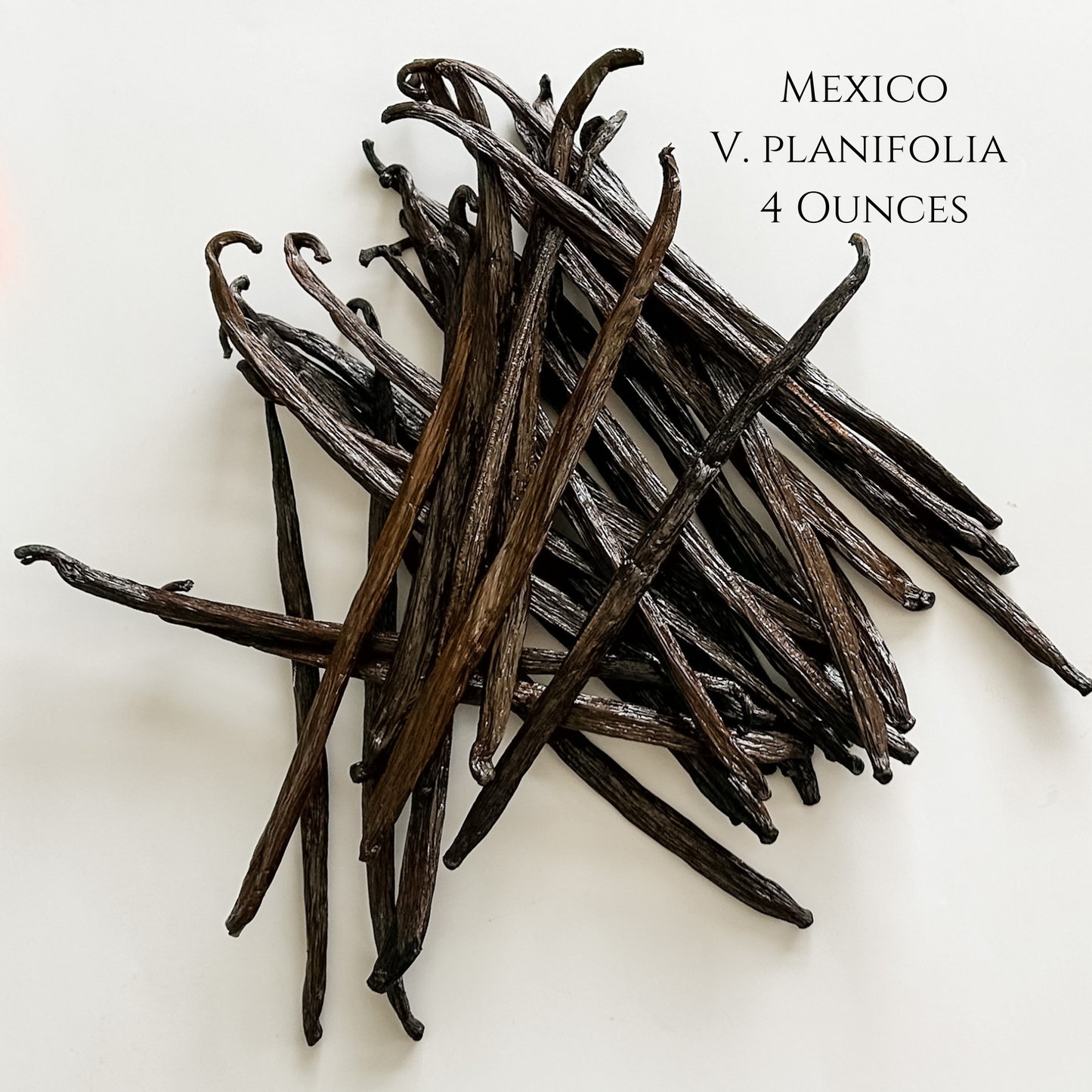 Mexico V. planifolia Vanilla Beans