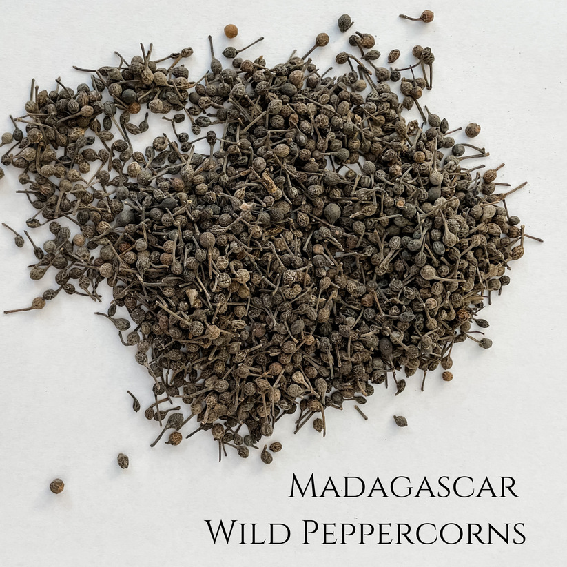 Madagascar Wild Peppercorns IndriVanilla