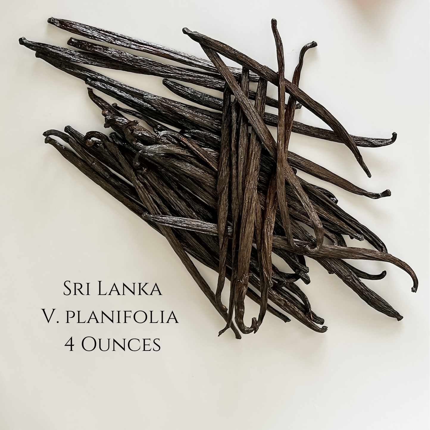 Sri Lanka V. Planifolia Vanilla Beans