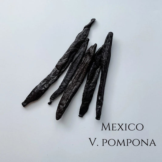 Five Mexico V. pompona vanilla beans or one ounce