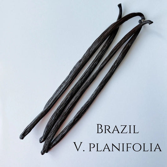 Brazil V. planifolia Vanilla Beans
