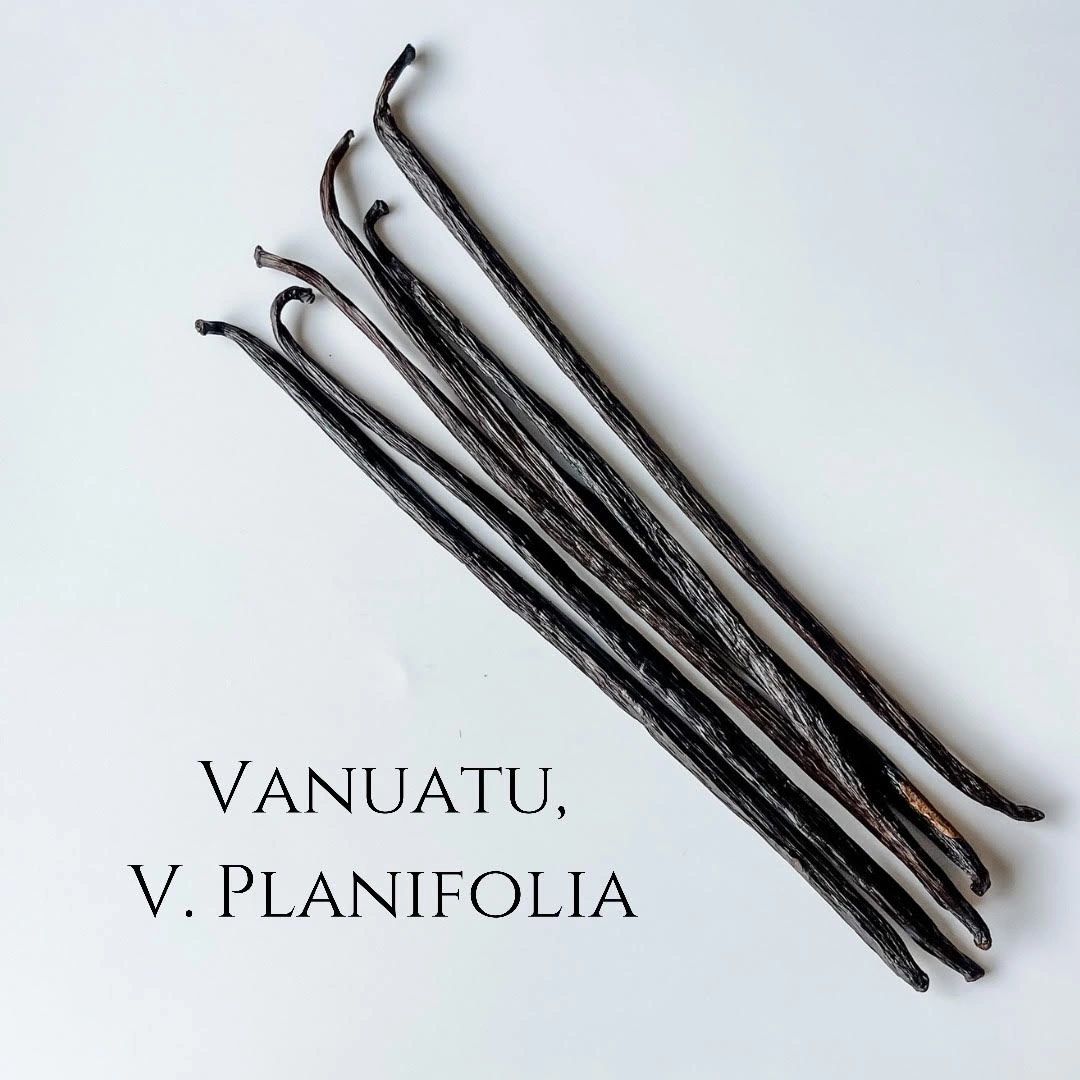 Vanuatu V. planifolia Vanilla Beans